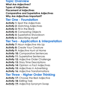 Adjective Usage Worksheet Activity Booklet