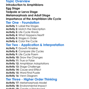 Amphibian Life Cycle Worksheet Activity Booklet