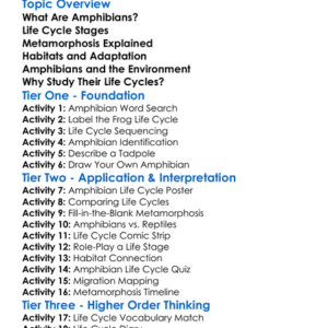 Amphibians Life Cycles Worksheet Activity Booklet