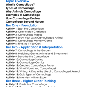 Animal Camouflage Worksheet Activity Booklet