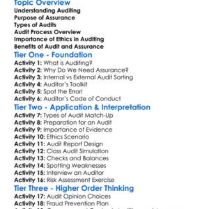 Audit And Assurance Basics Worksheet Activity Booklet