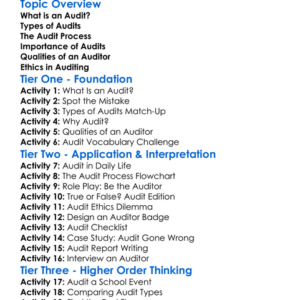 Audit Basics Worksheet Activity Booklet