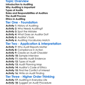 Auditing Basics Worksheet Activity Booklet