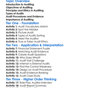 Auditing Principles Worksheet Activity Booklet