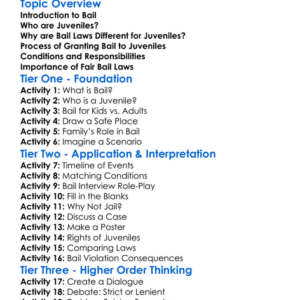 Bail Laws For Juveniles Worksheet Activity Booklet