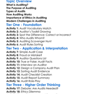 Basic Auditing Concepts Worksheet Activity Booklet