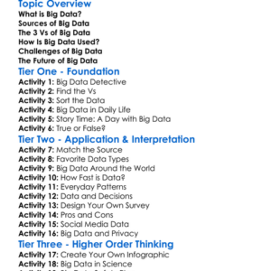 Big Data Overview Worksheet Activity Booklet