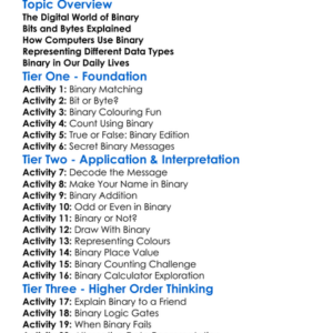 Binary And Data Representation Worksheet Activity Booklet