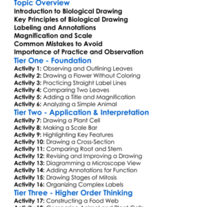 Biological Drawing Techniques Worksheet Activity Booklet