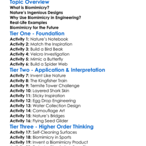 Biomimicry In Engineering Worksheet Activity Booklet