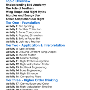 Bird Adaptations For Flight Worksheet Activity Booklet