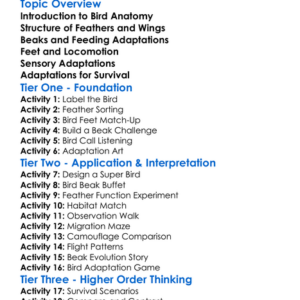 Bird Anatomy And Adaptations Worksheet Activity Booklet