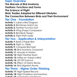 Bird Anatomy And Flight Worksheet Activity Booklet
