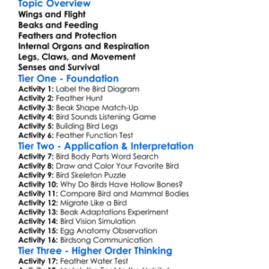 Bird Anatomy Worksheet Activity Booklet