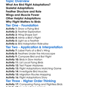 Bird Flight Adaptations Worksheet Activity Booklet