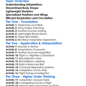Birds Adaptations For Flight Worksheet Activity Booklet