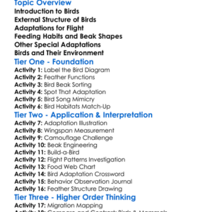 Birds Structure And Adaptations Worksheet Activity Booklet