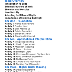 Birds Structure And Flight Worksheet Activity Booklet