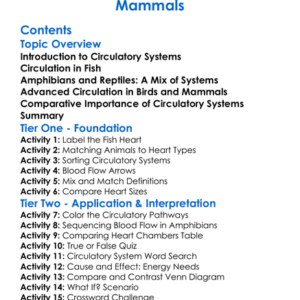 Blood Circulation In Fish Amphibians Reptiles Birds And Mammals Worksheet Activity Booklet