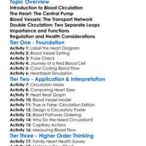 Blood Circulation In Mammals Worksheet Activity Booklet