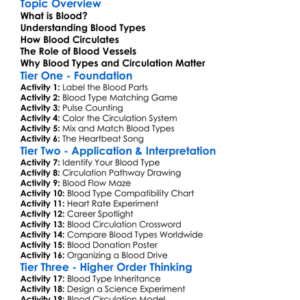 Blood Types And Blood Circulation Worksheet Activity Booklet