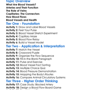 Blood Vessels And Blood Flow Worksheet Activity Booklet