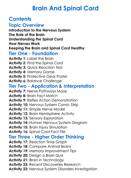 Brain And Spinal Cord Worksheet Activity Booklet