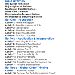 Brain Regions And Functions Worksheet Activity Booklet