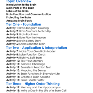 Brain Structure And Function Worksheet Activity Booklet