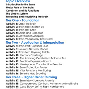 Brain Structure And Functions Worksheet Activity Booklet