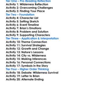 Brians Return Gary Paulsen Worksheet Activity Booklet