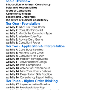Business Consultancy Worksheet Activity Booklet