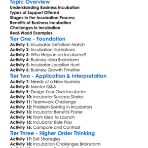 Business Incubation Worksheet Activity Booklet