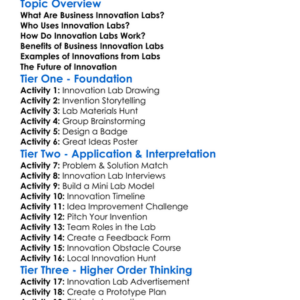 Business Innovation Labs Worksheet Activity Booklet