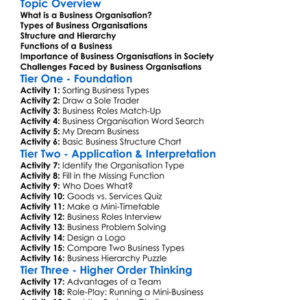 Business Organisation Worksheet Activity Booklet