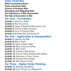 Business Risks Worksheet Activity Booklet
