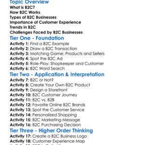 Business-To-Consumer B2C Worksheet Activity Booklet