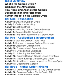 Carbon Cycle In Nature Worksheet Activity Booklet