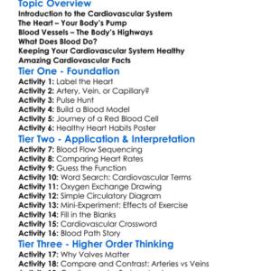 Cardiovascular System Basics Worksheet Activity Booklet
