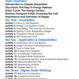 Cellular Respiration Stages Worksheet Activity Booklet