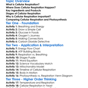 Cellular Respiration Worksheet Activity Booklet