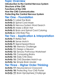 Central Nervous System Worksheet Activity Booklet