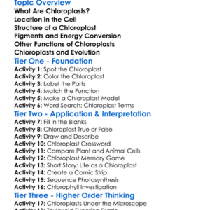 Chloroplast Structure Worksheet Activity Booklet