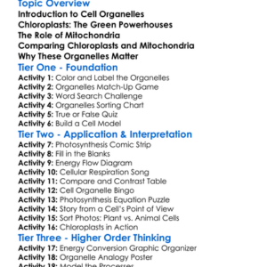 Chloroplasts And Mitochondria Worksheet Activity Booklet