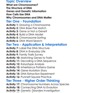 Chromosomes And Dna Worksheet Activity Booklet