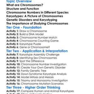 Chromosomes And Karyotypes Worksheet Activity Booklet