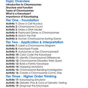 Chromosomes And Karyotyping Worksheet Activity Booklet