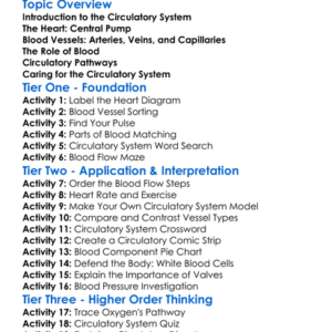 Circulatory System Anatomy Worksheet Activity Booklet