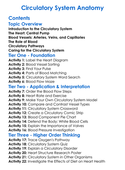 Circulatory System Anatomy Worksheet Activity Booklet
