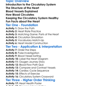 Circulatory System And The Heart Worksheet Activity Booklet